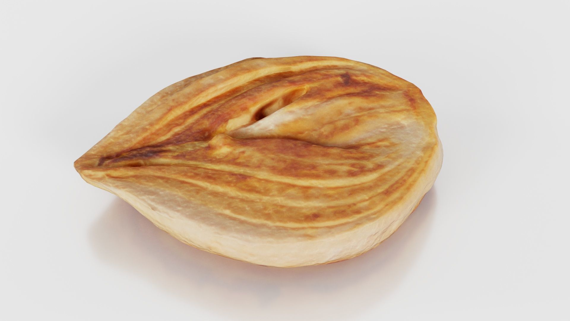 Onion Slice Baked Low-poly 3D model_20