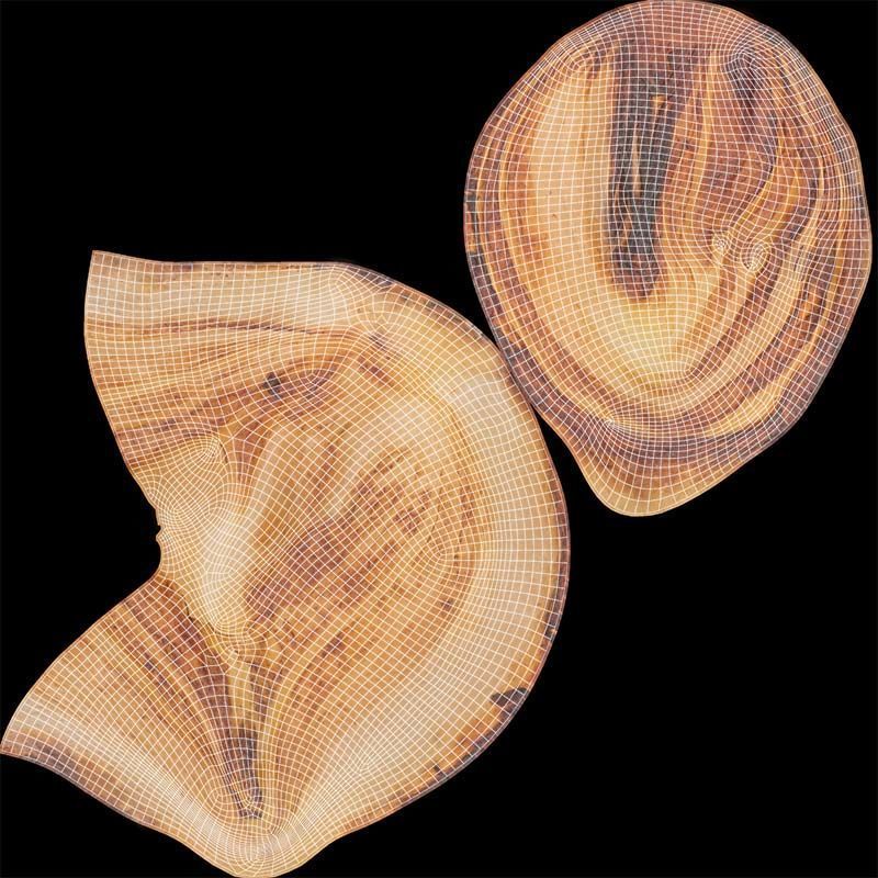 Onion Slice Baked Low-poly 3D model_14