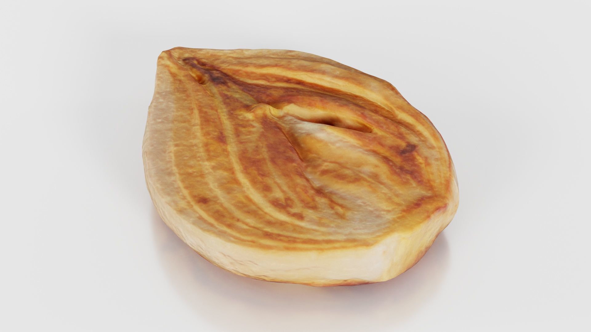 Onion Slice Baked Low-poly 3D model_18