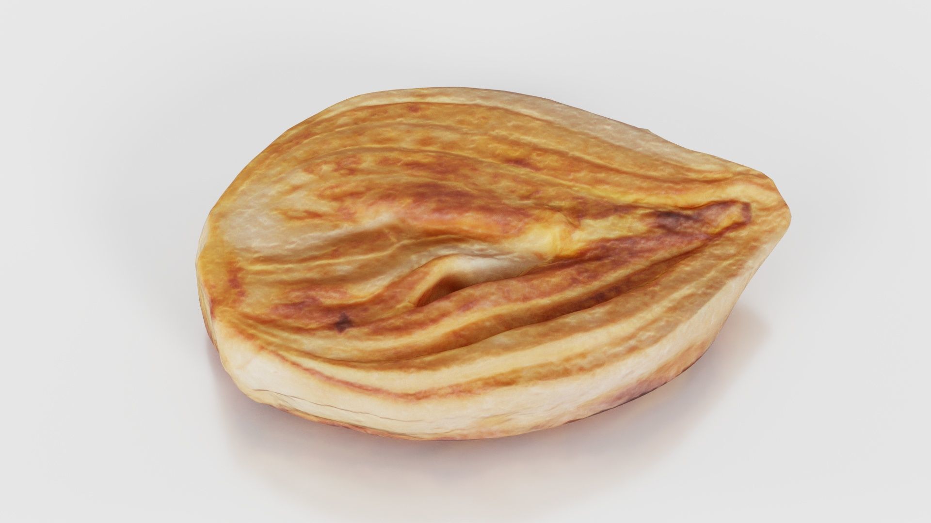 Onion Slice Baked Low-poly 3D model_26