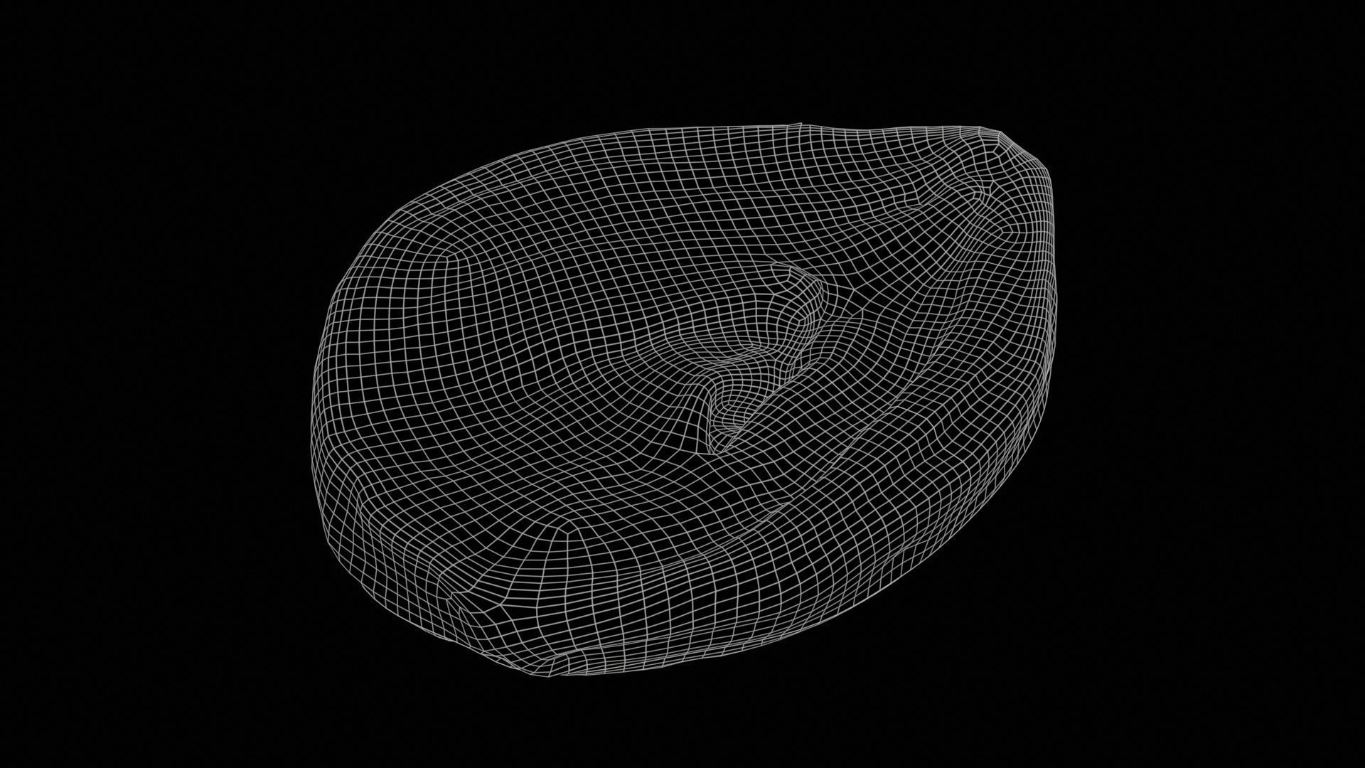 Onion Slice Baked Low-poly 3D model_11