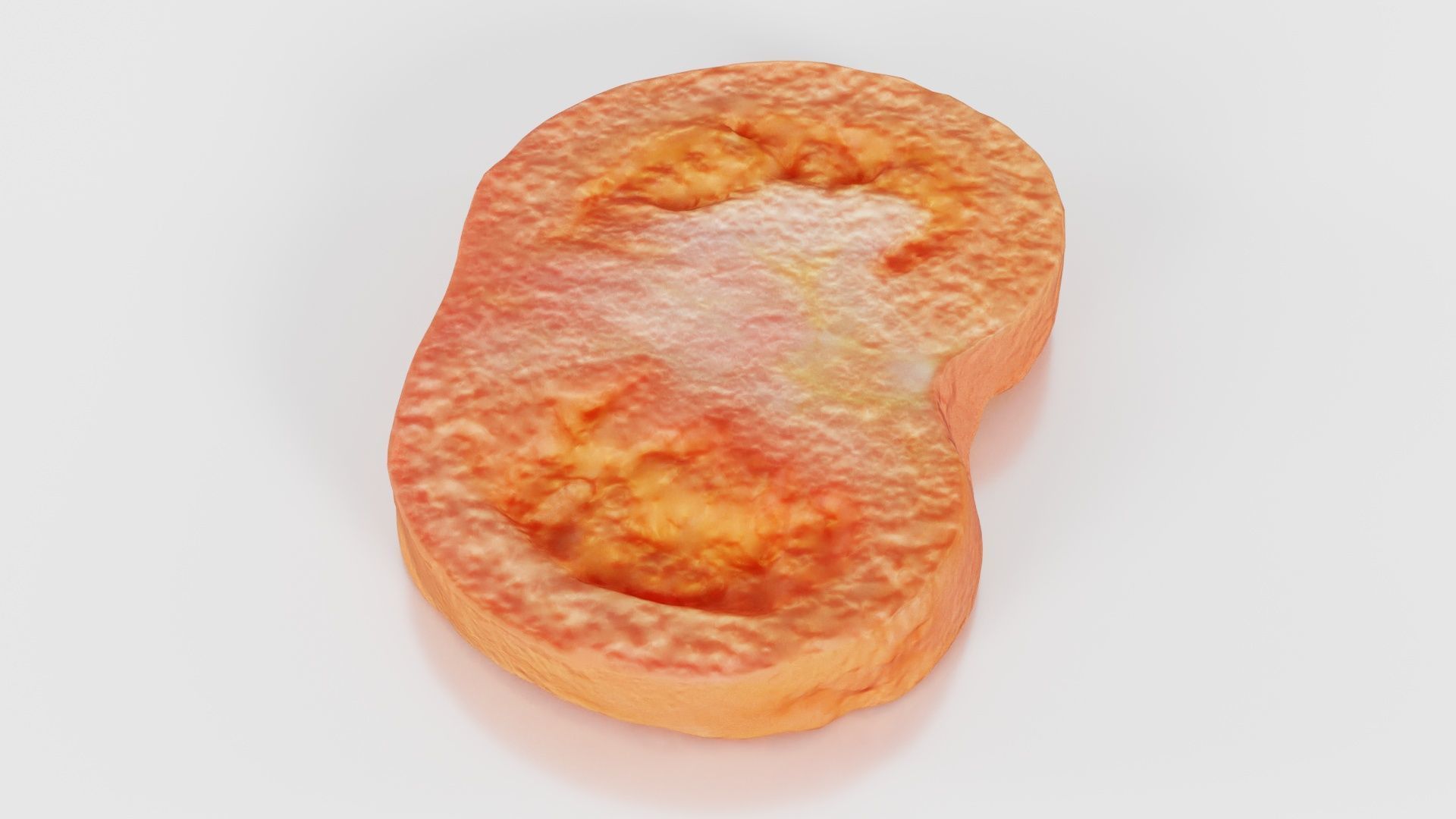 Tomato Slice 1 Low-poly 3D model_16