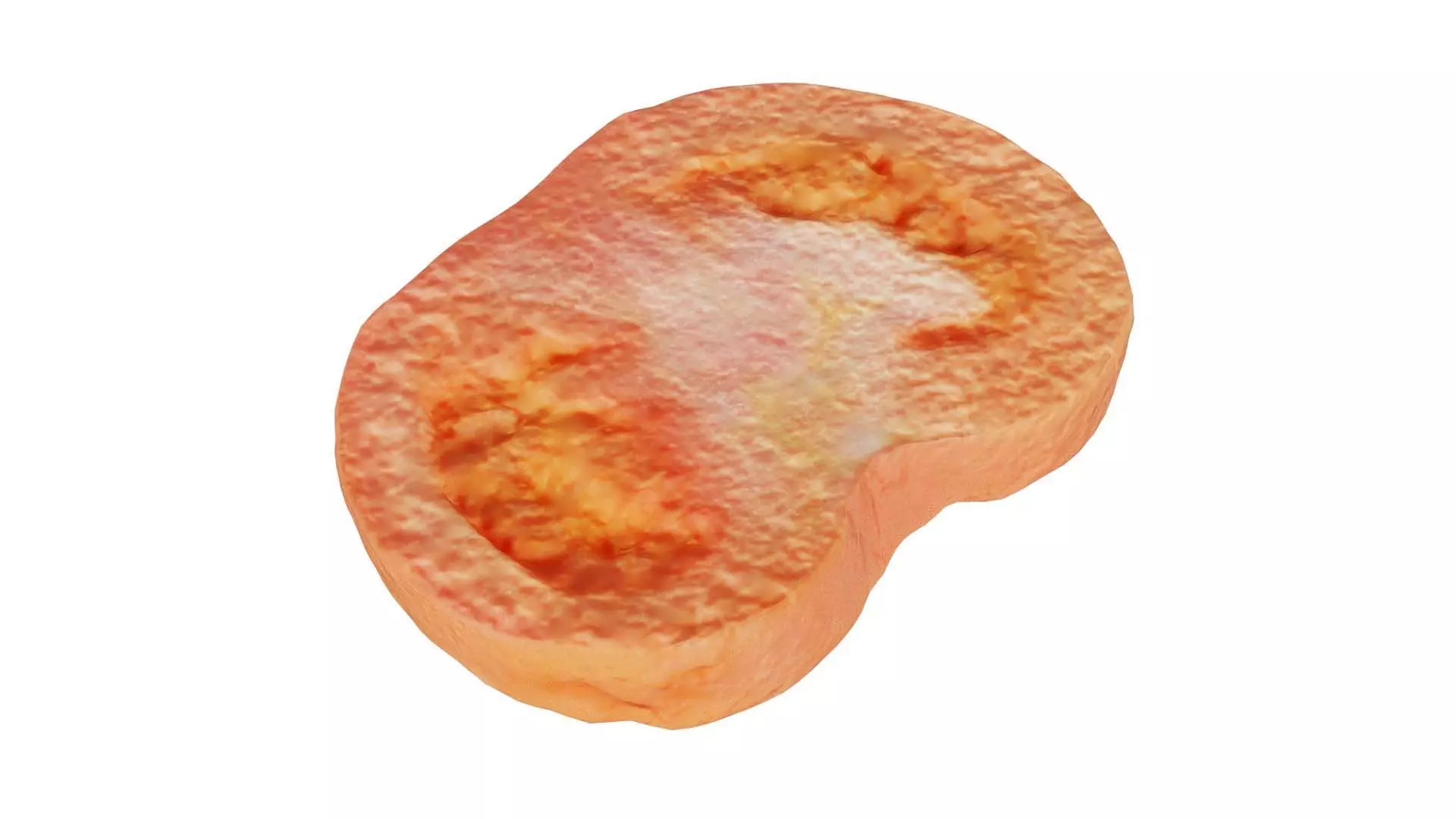 Tomato Slice 1 Low-poly 3D model_0