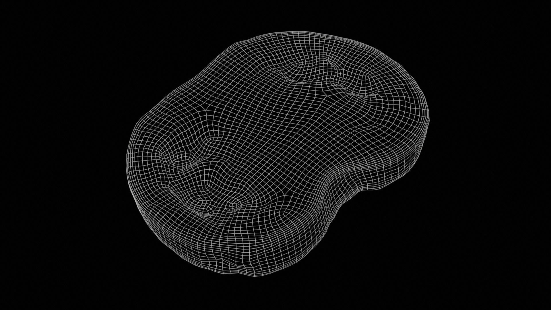 Tomato Slice 1 Low-poly 3D model_11