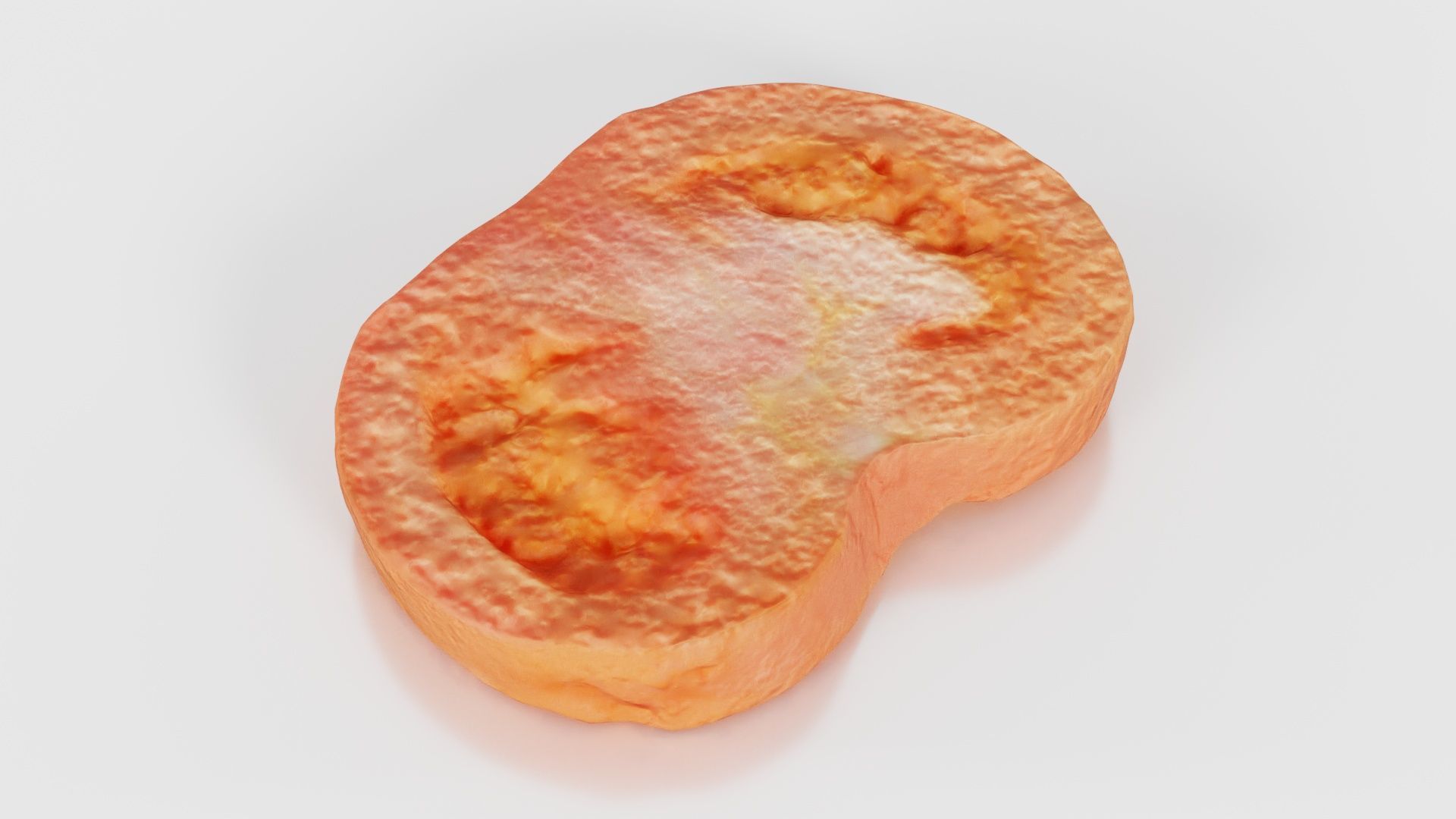 Tomato Slice 1 Low-poly 3D model_15