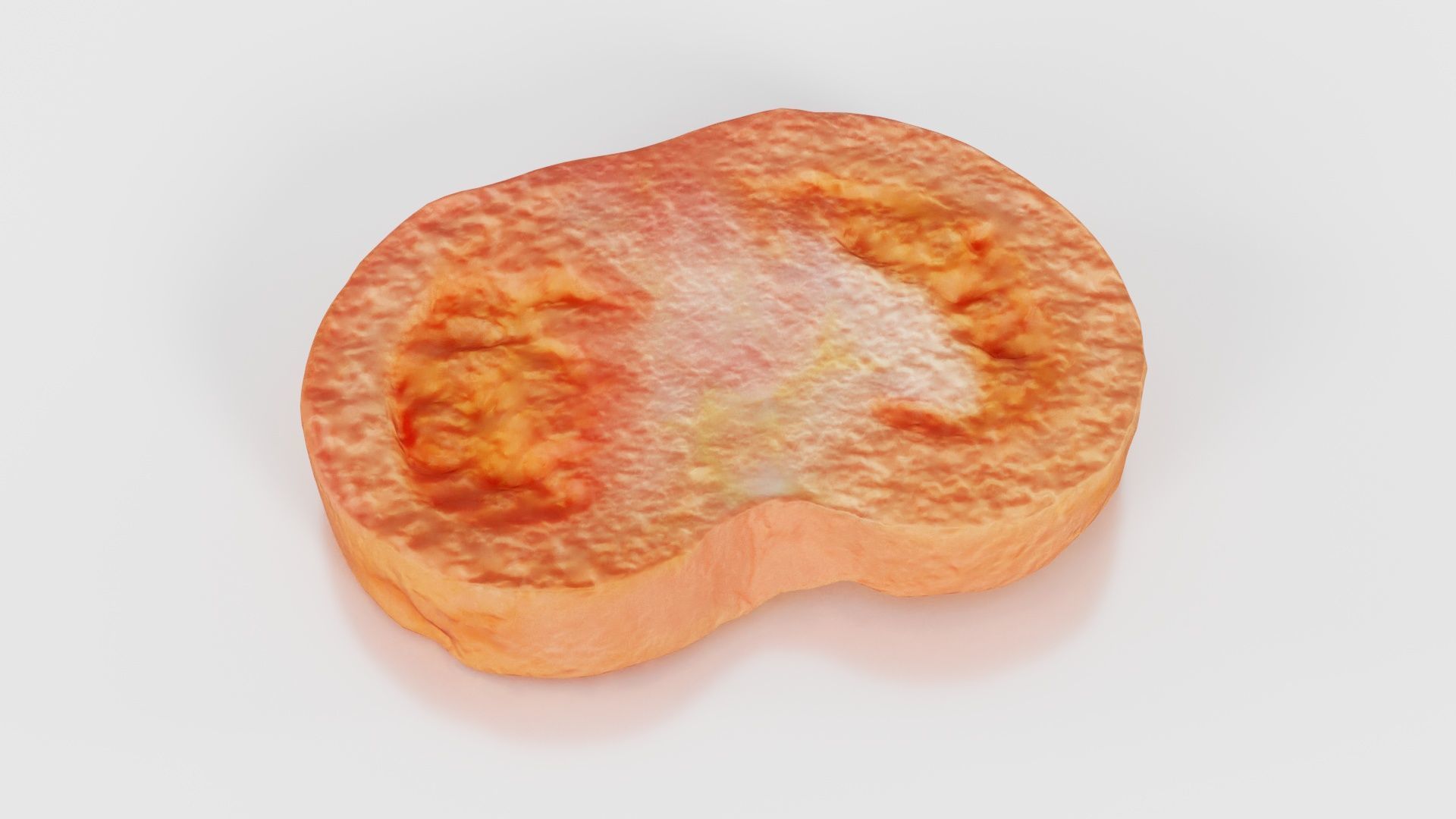 Tomato Slice 1 Low-poly 3D model_26