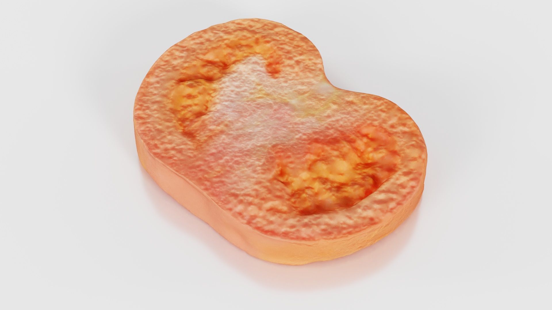 Tomato Slice 1 Low-poly 3D model_18
