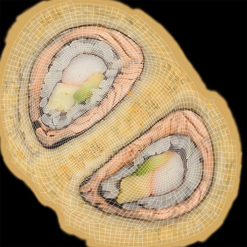 Sushi 01 Low-poly 3D model_14