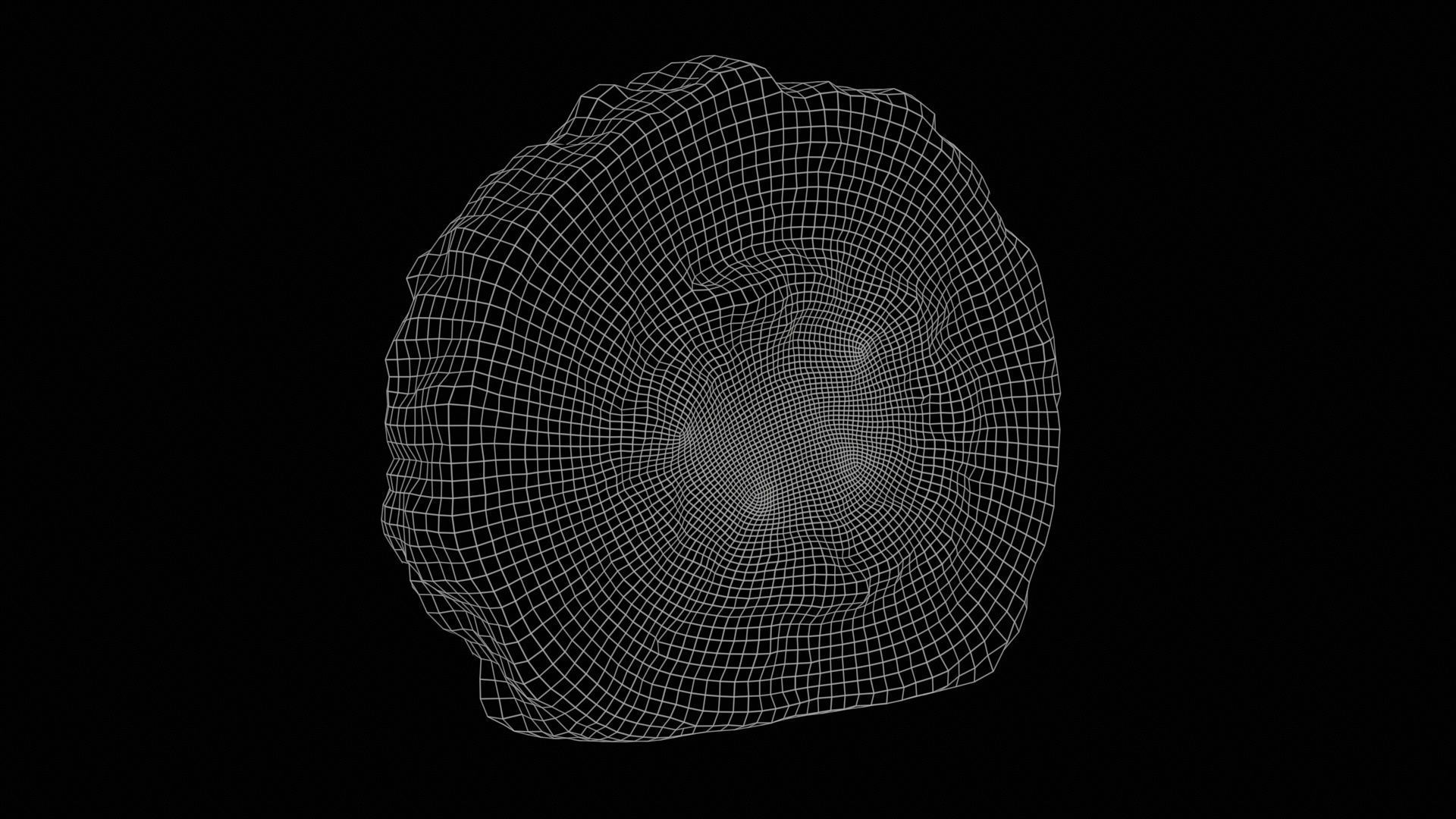 Sushi 01 Low-poly 3D model_11