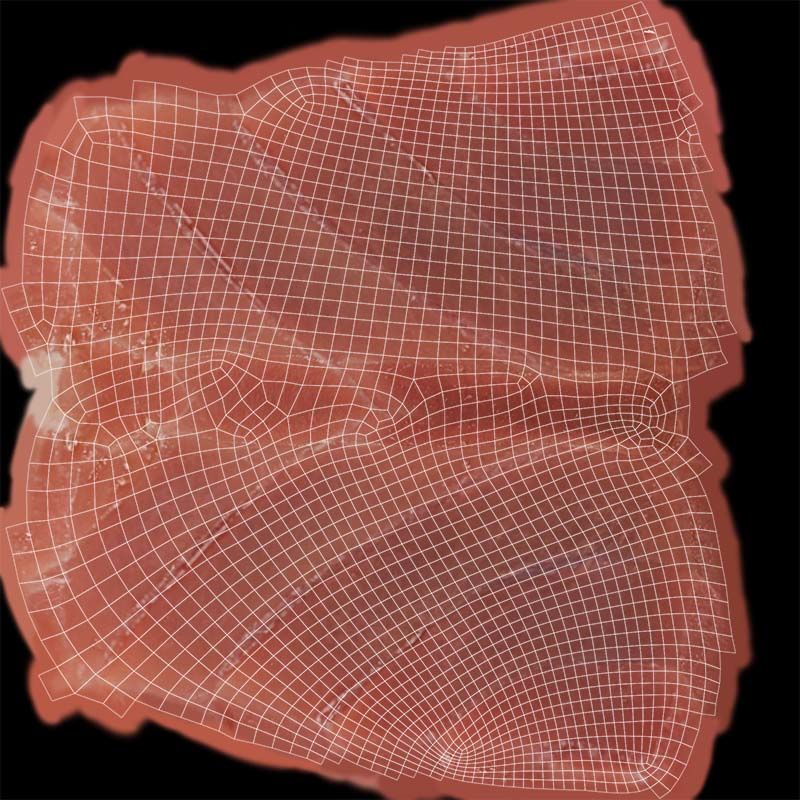 Sushi 03 Low-poly 3D model_14