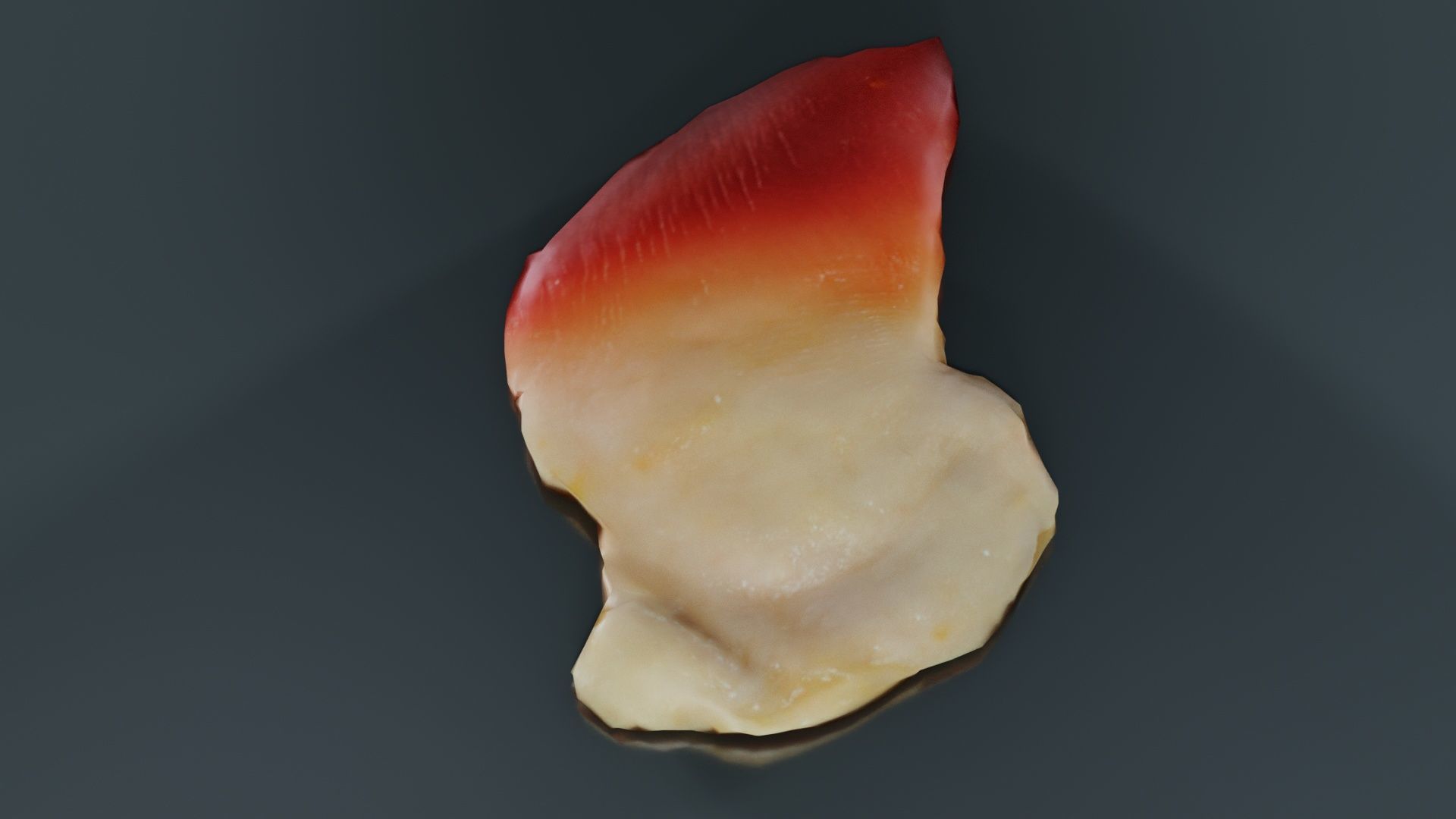 Sushi 04 Low-poly 3D model_8