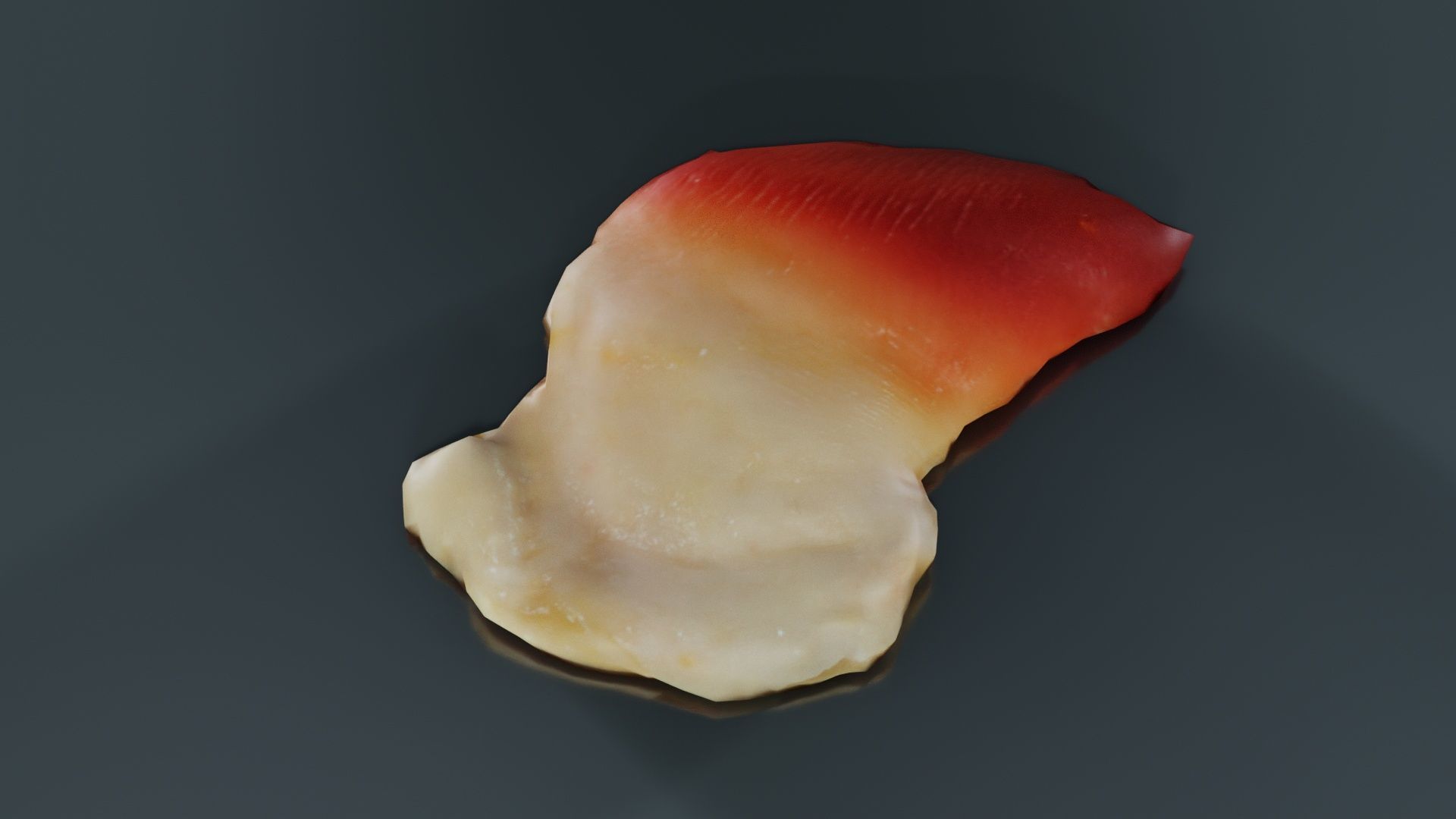 Sushi 04 Low-poly 3D model_6