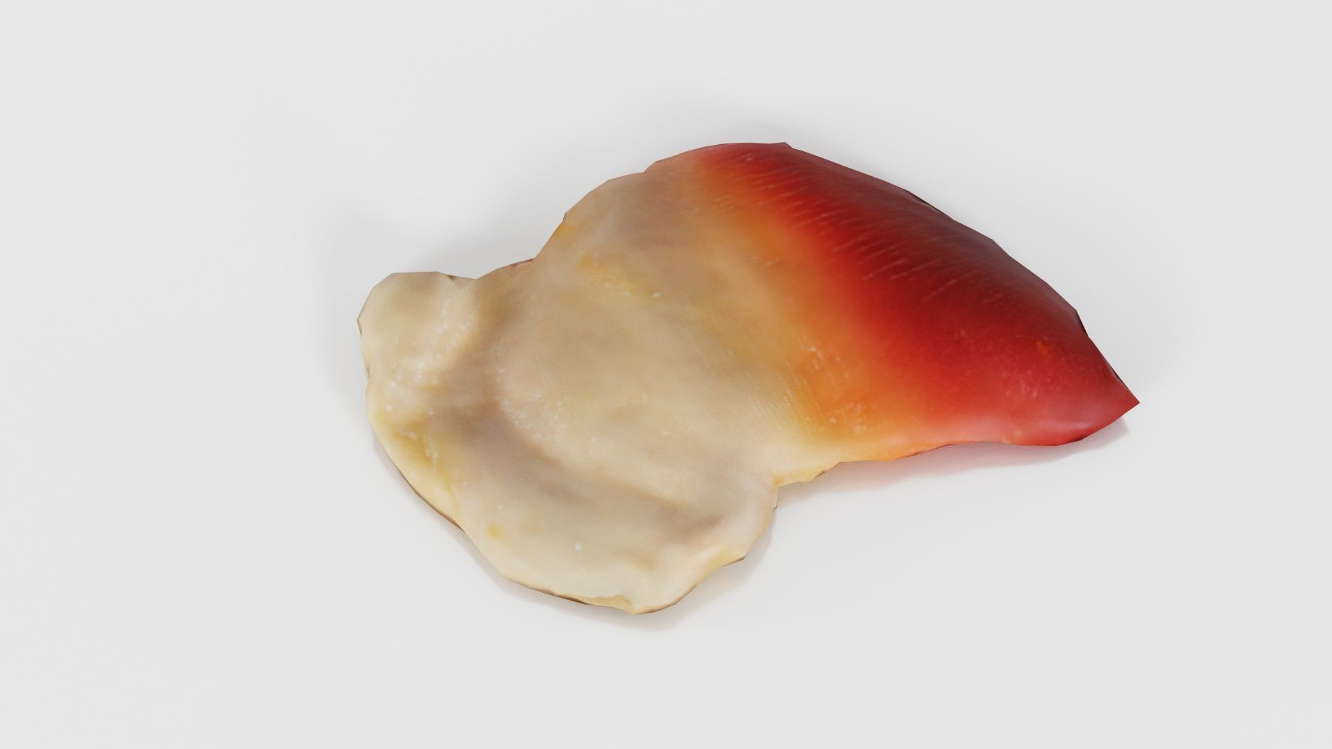 Sushi 04 Low-poly 3D model_20