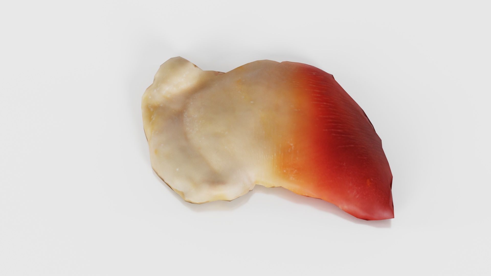 Sushi 04 Low-poly 3D model_19