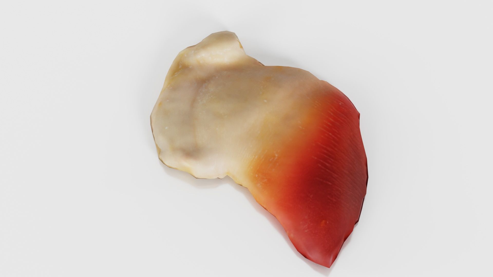 Sushi 04 Low-poly 3D model_18