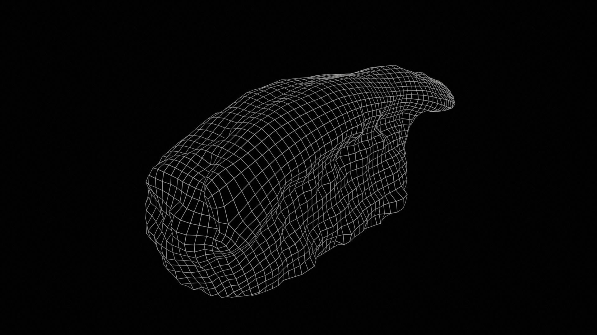 Sushi 12 Low-poly 3D model_11