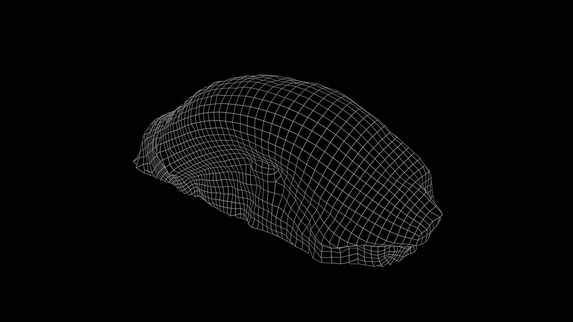 Sushi 13 Low-poly 3D model_11