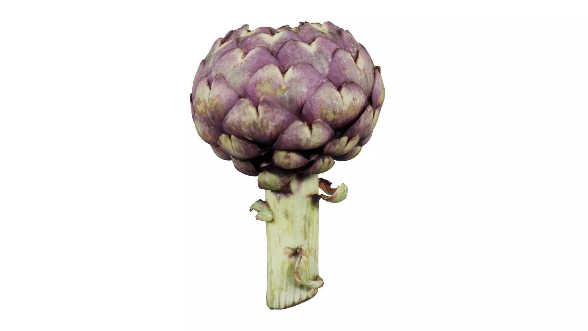 Artichokes Low-poly 3D model
