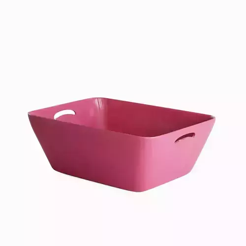 Plastic Basin 04