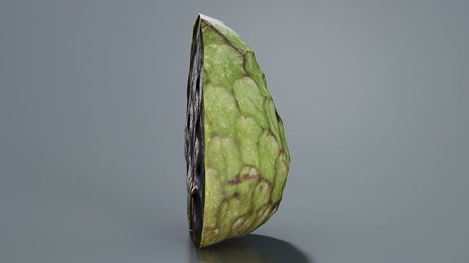 Artisjoke Half 2 Low-poly 3D model 2