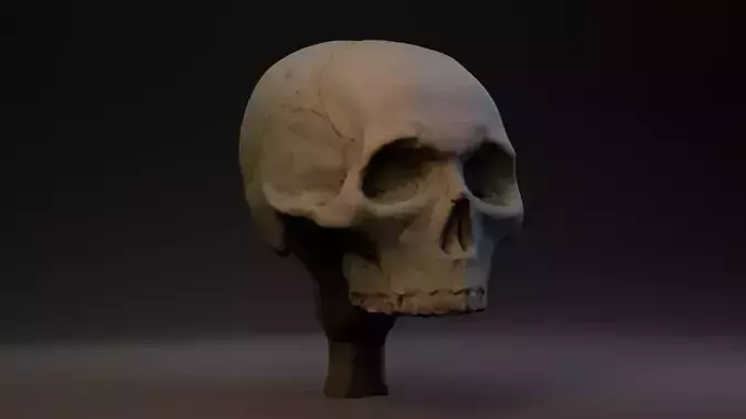 Photogrammetry Realistic Skull 8k