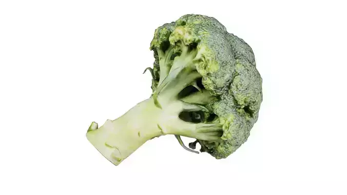 Broccoli Low-poly 3D model