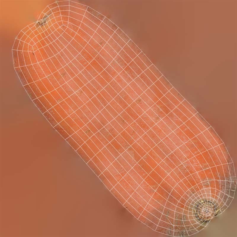 Carrot Low-poly 3D model_14