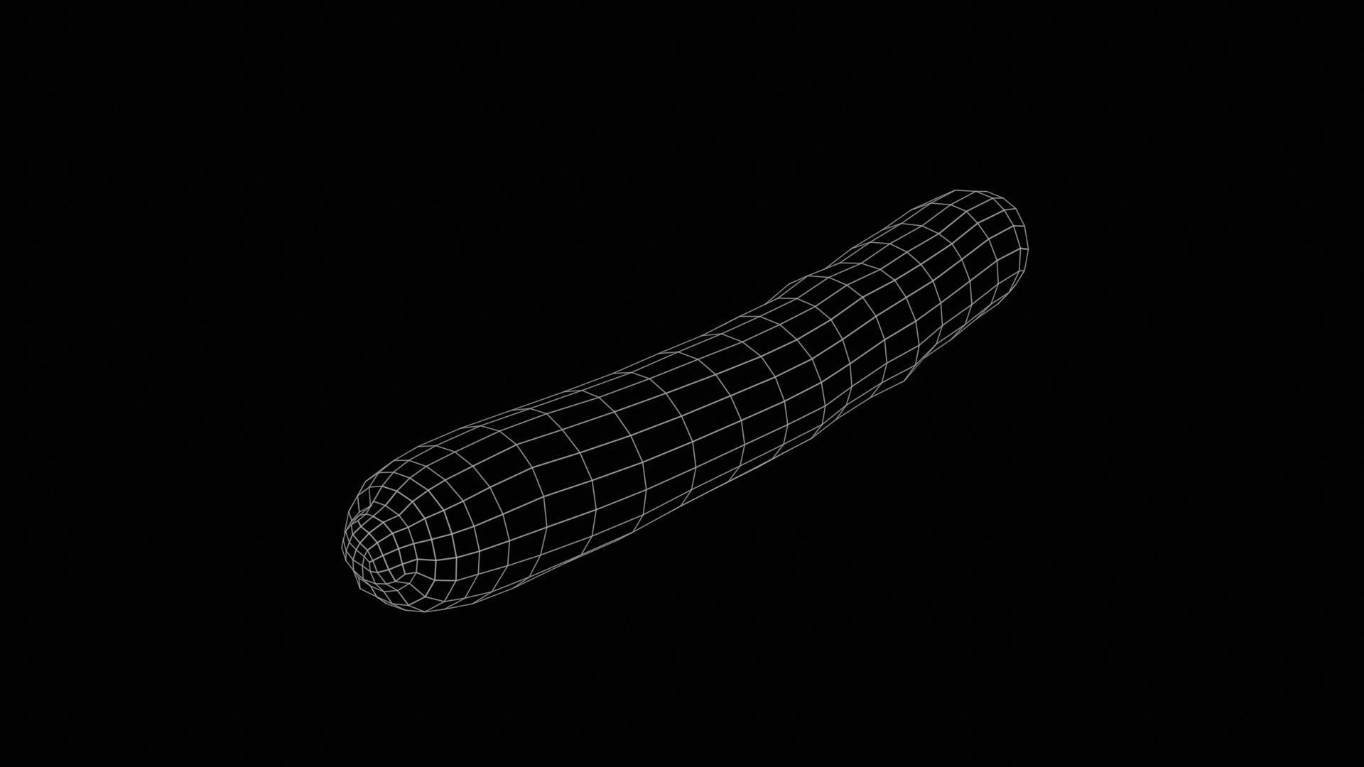 Carrot Low-poly 3D model_11