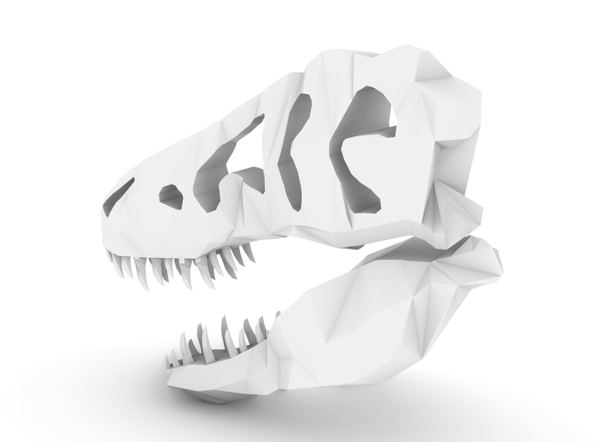 T-Rex Skull Low Poly Free 3D model_2