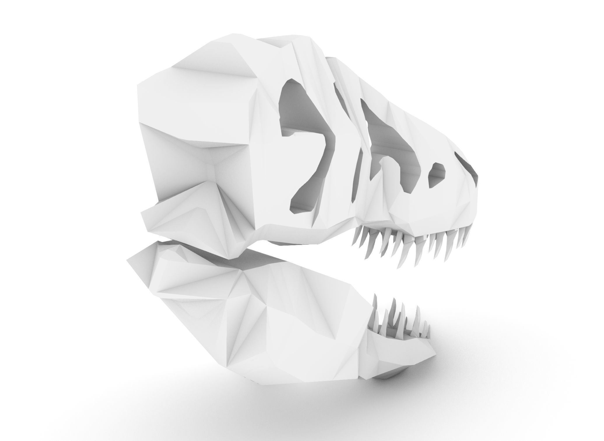 T-Rex Skull Low Poly Free 3D model_5