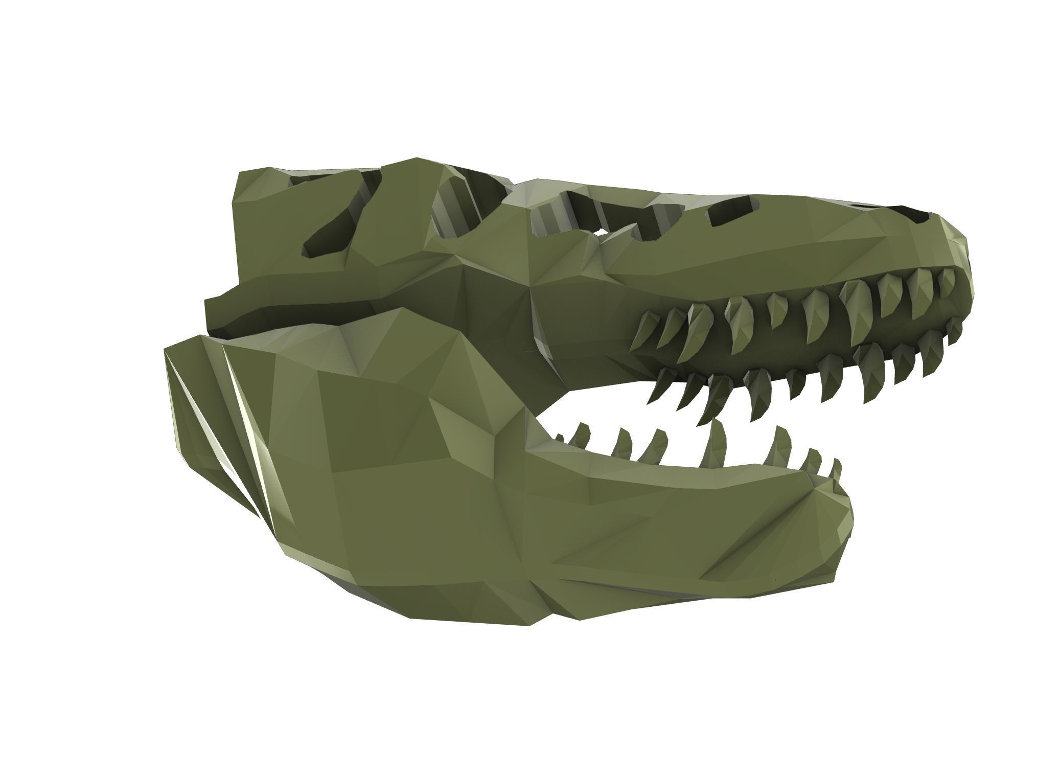 T-Rex Skull Low Poly Free 3D model_8