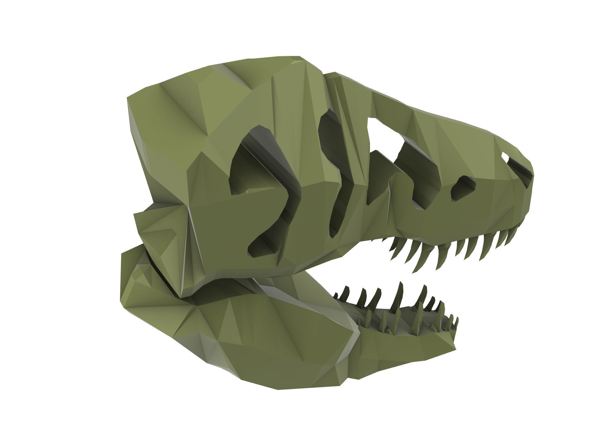 T-Rex Skull Low Poly Free 3D model_6