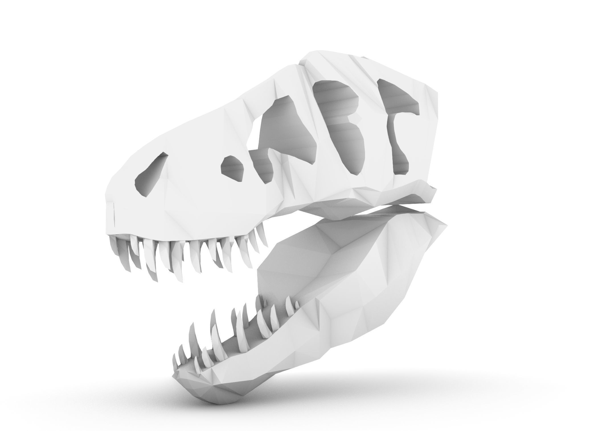 T-Rex Skull Low Poly Free 3D model_10