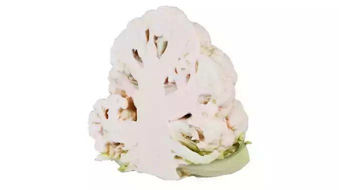 Cauliflower Half 2 Low-poly 3D model