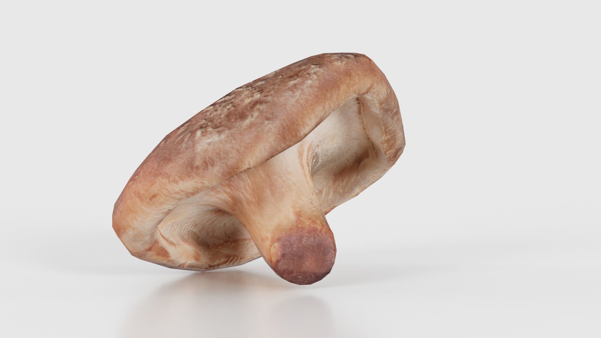 Champignon 2 Low-poly 3D model_17