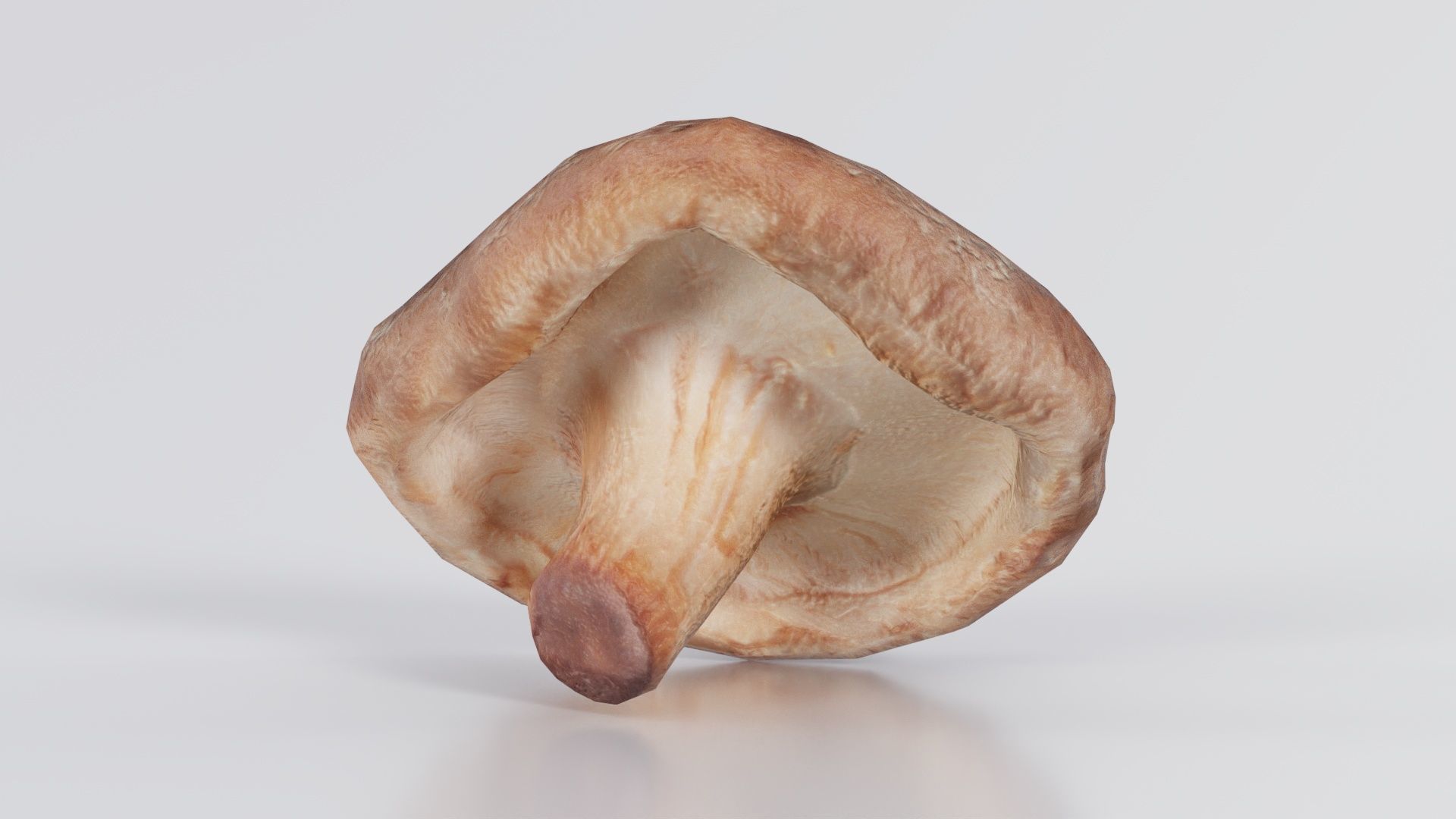 Champignon 2 Low-poly 3D model_6