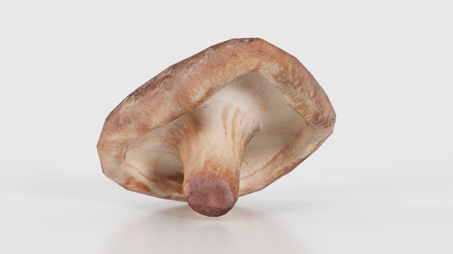 Champignon 2 Low-poly 3D model_16