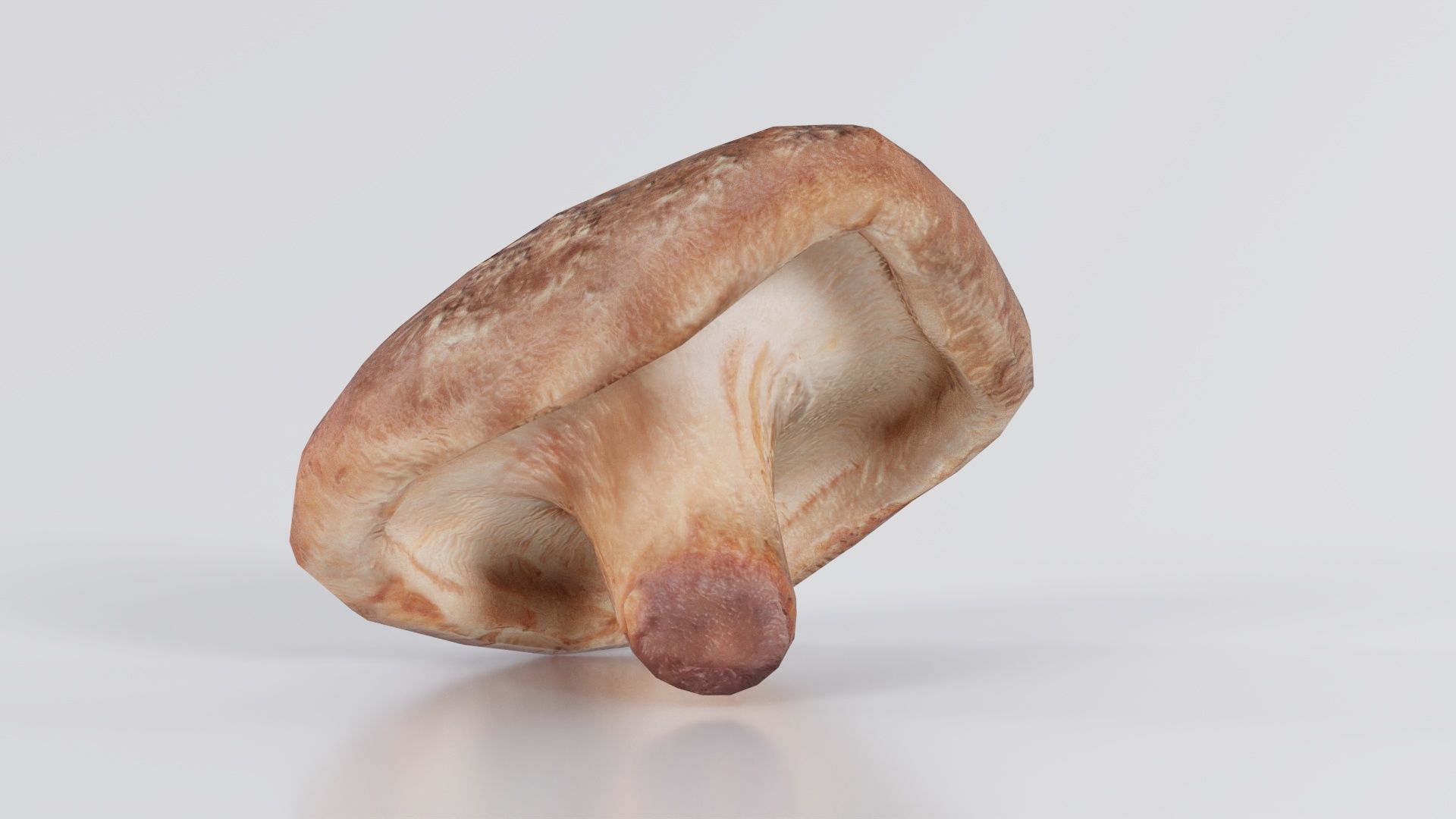 Champignon 2 Low-poly 3D model_4