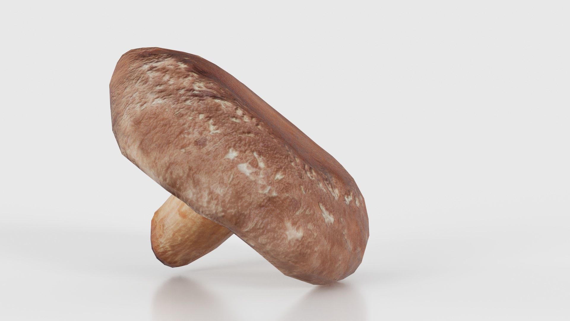 Champignon 2 Low-poly 3D model_24