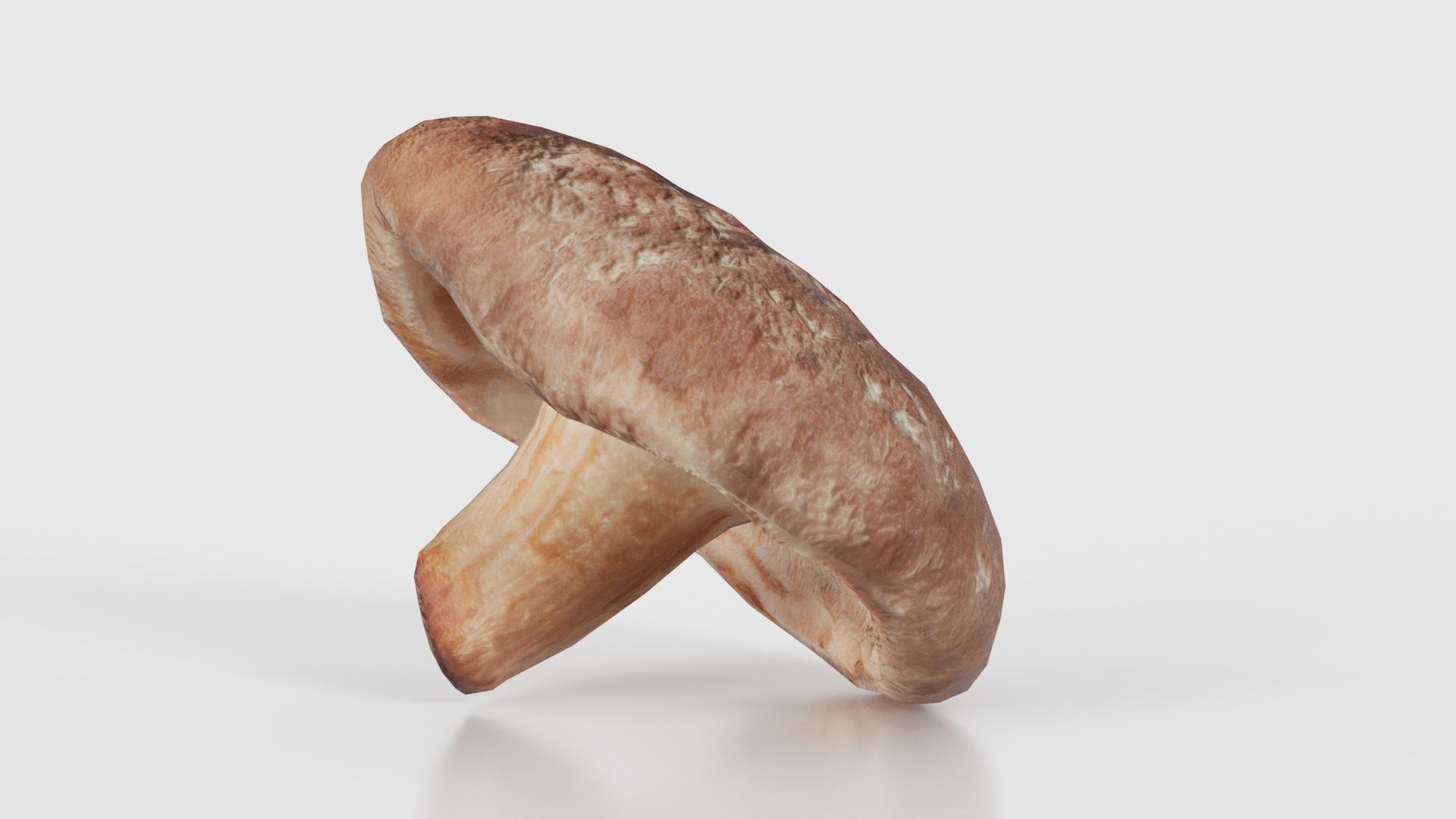 Champignon 2 Low-poly 3D model_25