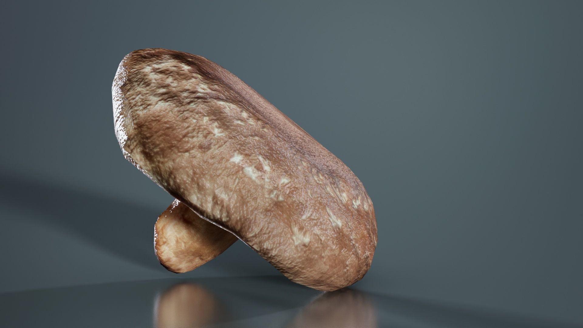 Champignon 2 Low-poly 3D model_1