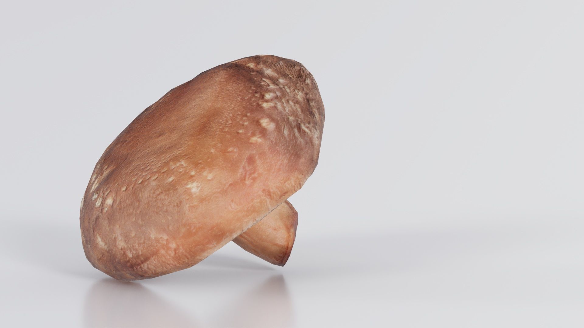 Champignon 2 Low-poly 3D model_8