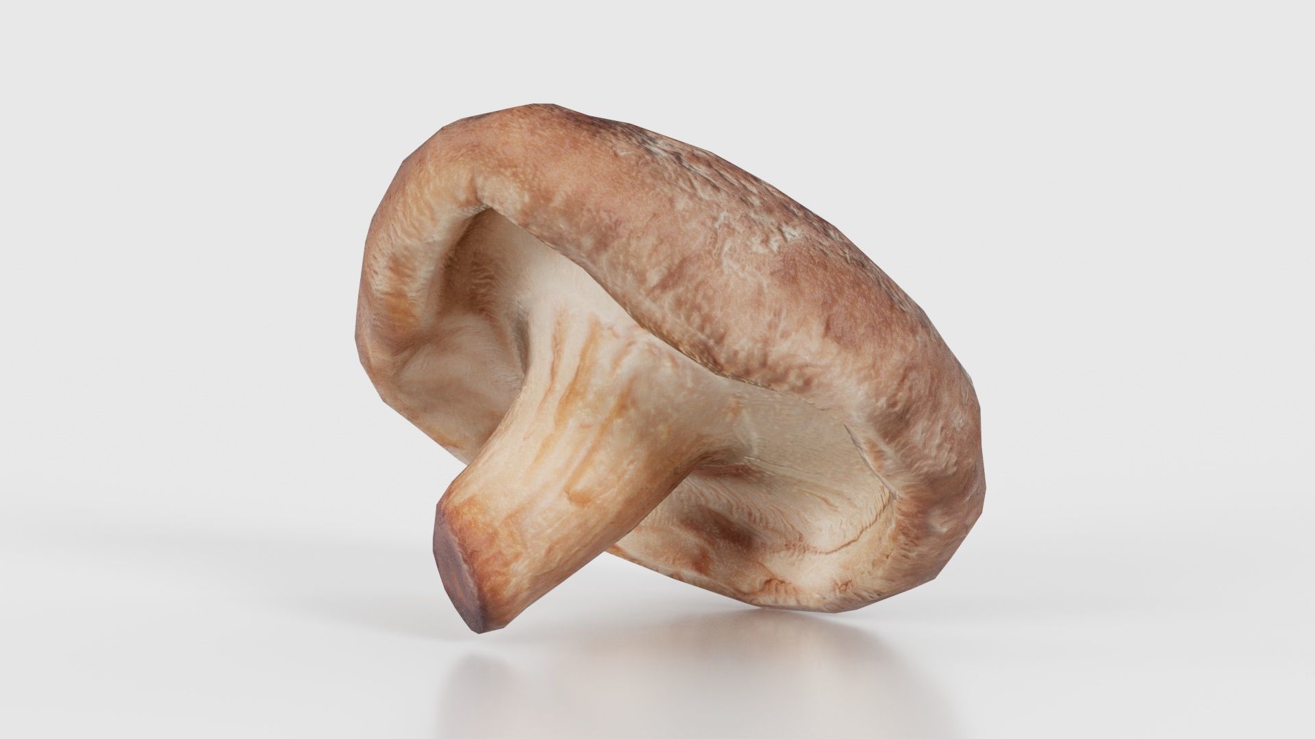 Champignon 2 Low-poly 3D model_26