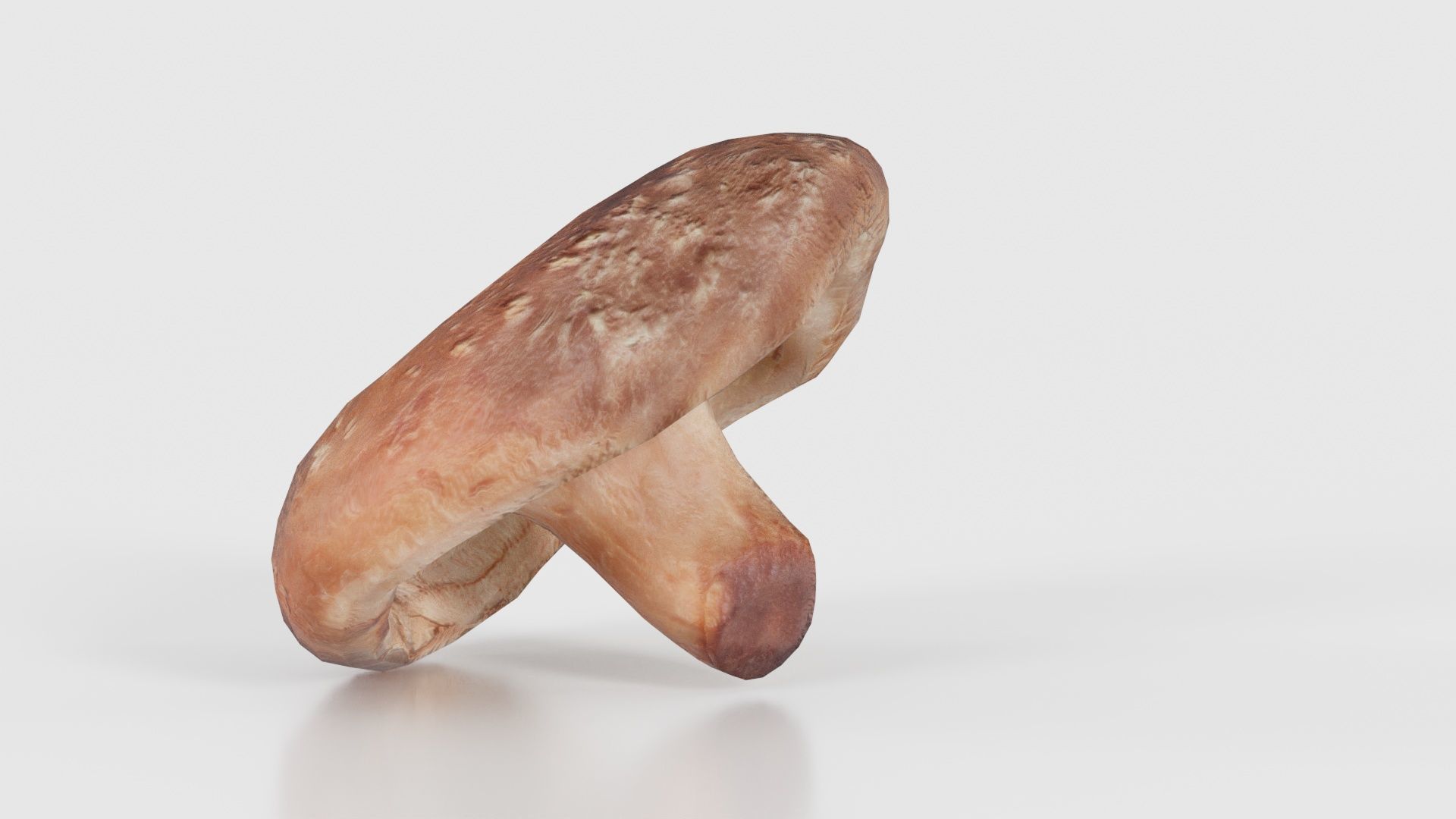 Champignon 2 Low-poly 3D model_18