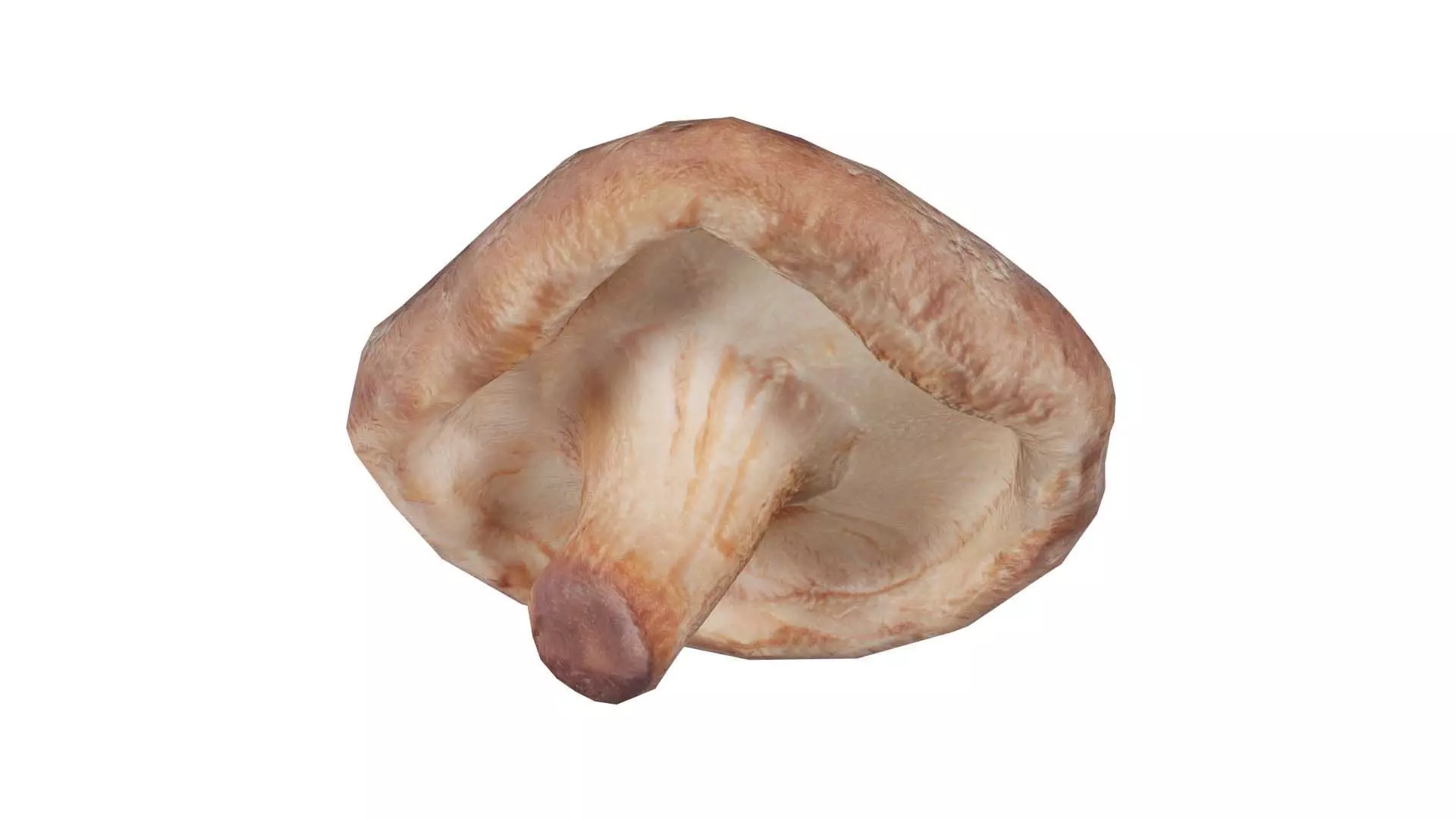 Champignon 2 Low-poly 3D model_0