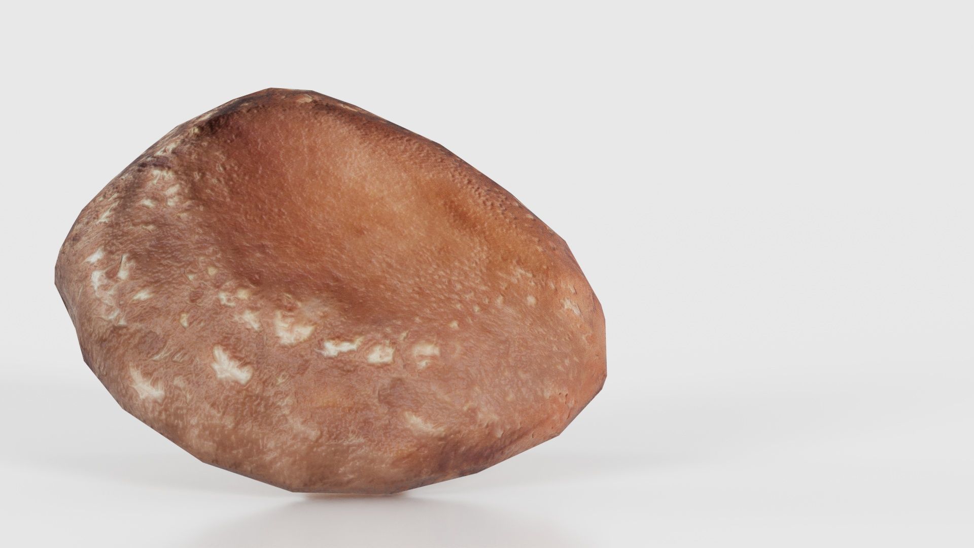 Champignon 2 Low-poly 3D model_22