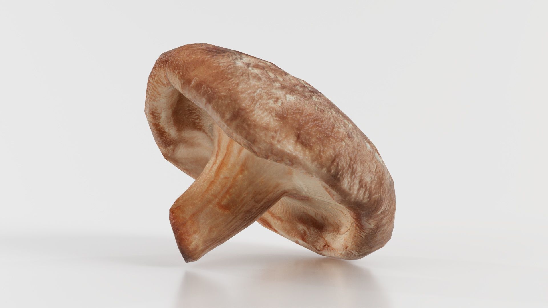 Champignon 2 Low-poly 3D model_2