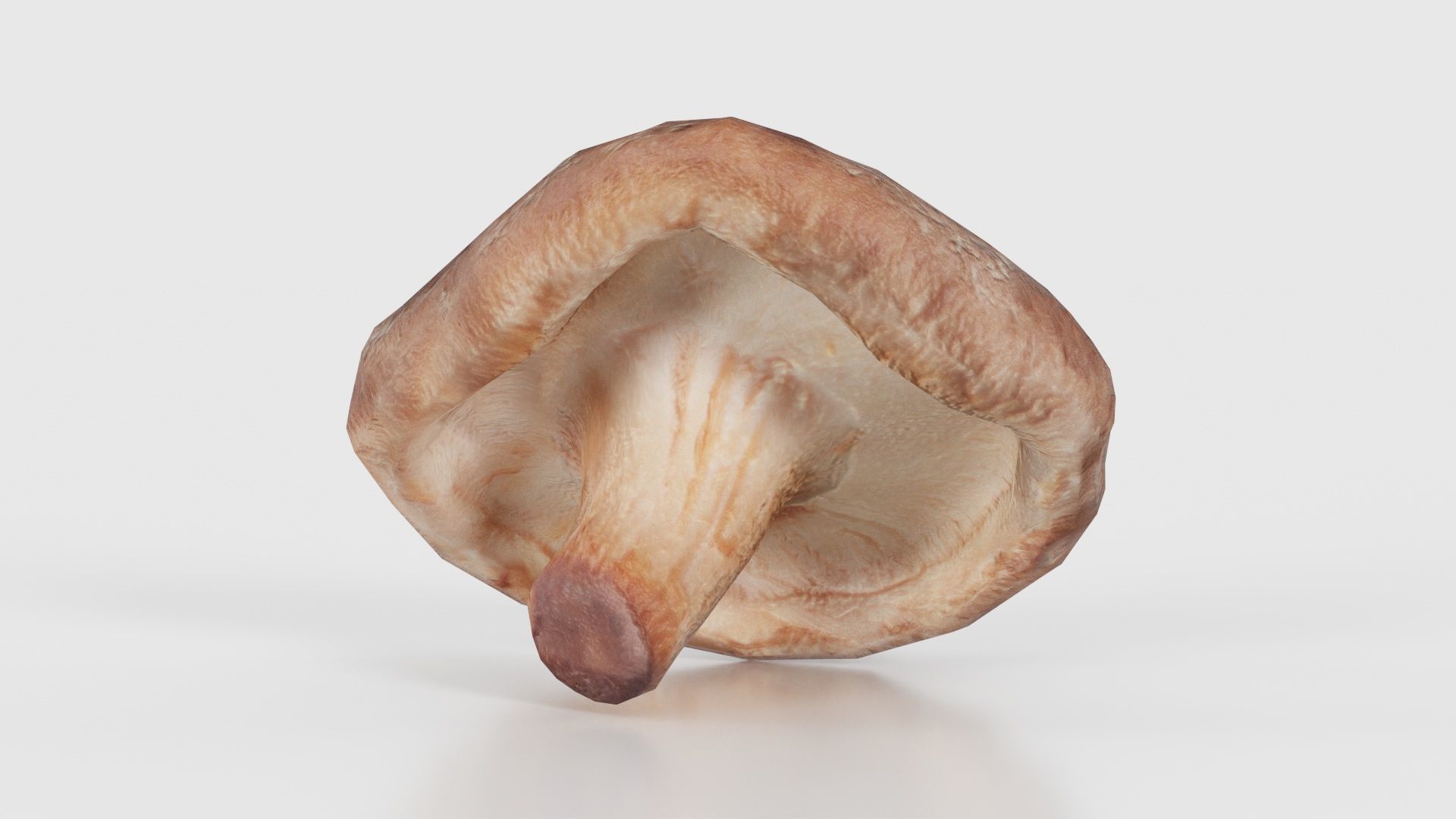 Champignon 2 Low-poly 3D model_15