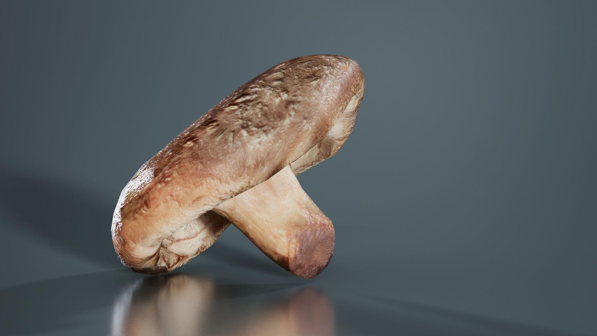 Champignon 2 Low-poly 3D model_3