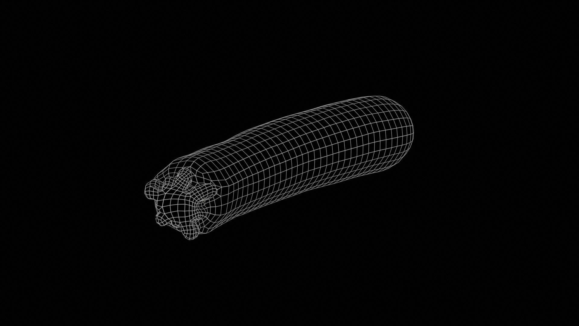 Courgette Low-poly 3D model_11